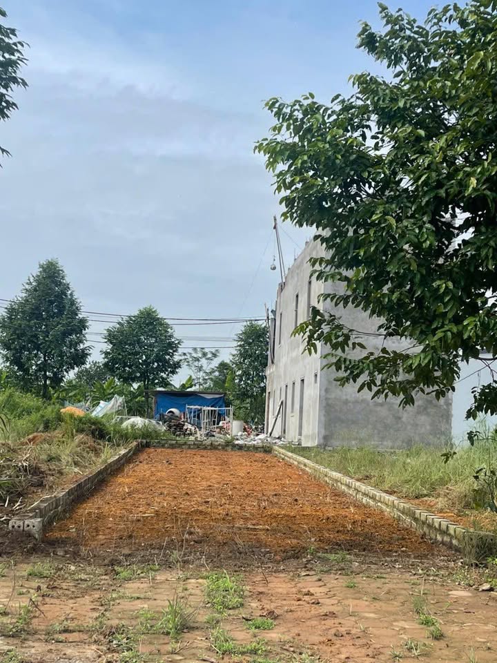 Đất nền 100m² mặt tiền 5m tại xã Thạch Hòa, Thạch Thất - Giá chỉ 600 triệu!