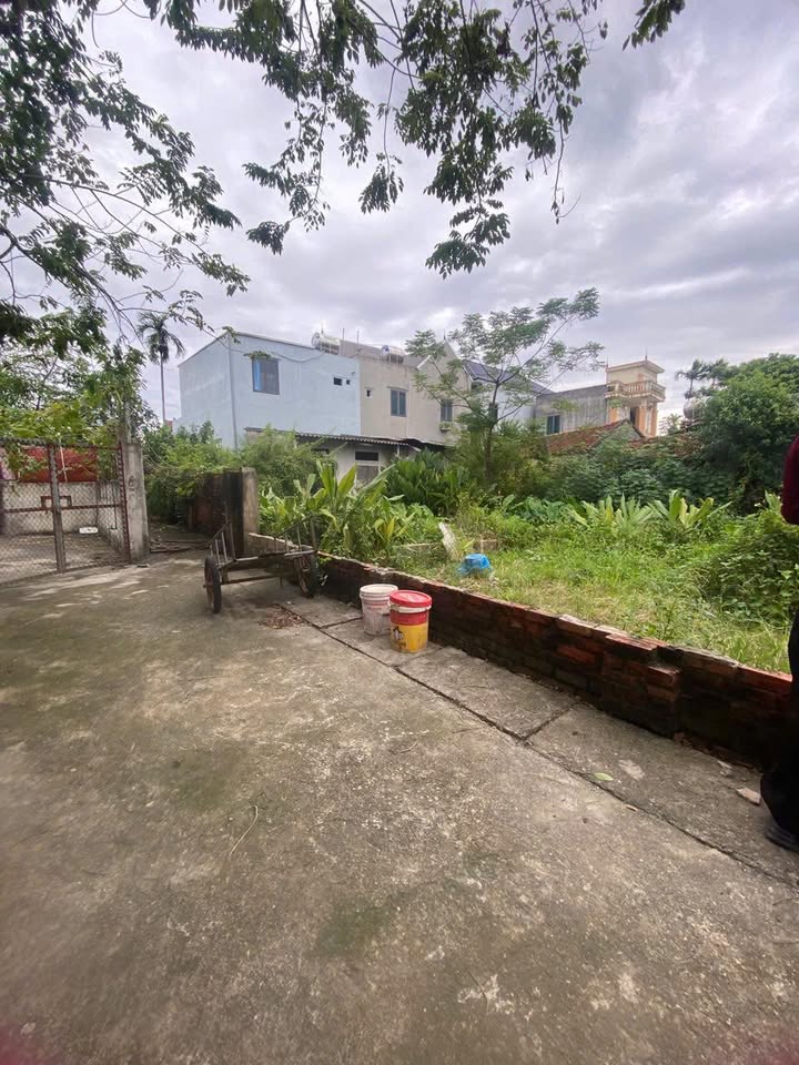 Đất Phú Nghĩa 80,5m² giá 1.9 tỷ - Chính chủ, ô tô vào tận nơi!