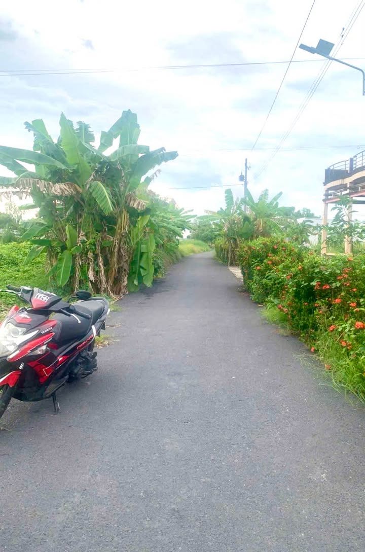 Bán đất lập vườn Tân Thành, Cà Mau 648m² - Gần UBND xã, giá tốt thương lượng!