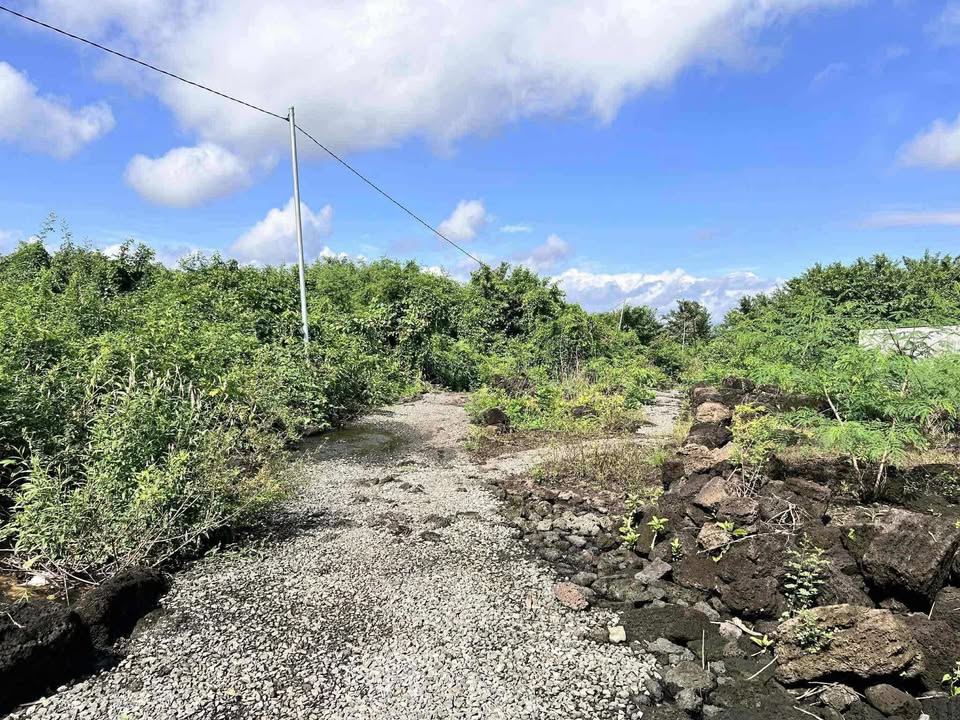 Đất nền 3 sào tại Phú Vinh, Định Quán, Đồng Nai - Giá 520 triệu - Cơ hội đầu tư tuyệt vời!