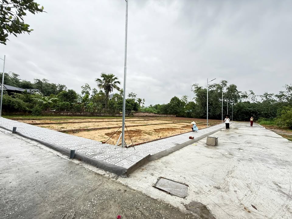 Đất thổ cư Hướng Đạo, Tam Dương 115m² giá chỉ 500 triệu - Cơ hội đầu tư tuyệt vời!