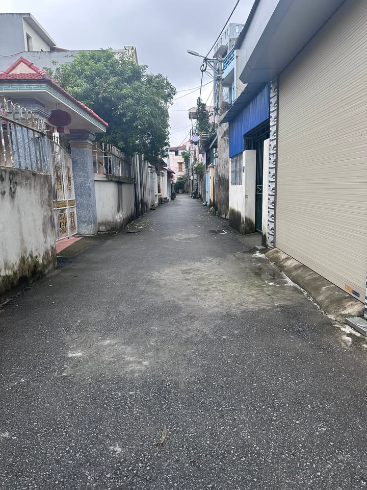 Đất nền khu phố An Thịnh, phường Hiến Nam 91.6m² giá 4 tỷ - Gần đường đôi Triệu Quang Phục!