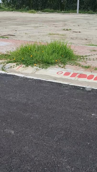 Đất nền chính chủ Tam Đa 100m² giá 1.9 tỷ - Vị trí thuận lợi gần trường và chợ!