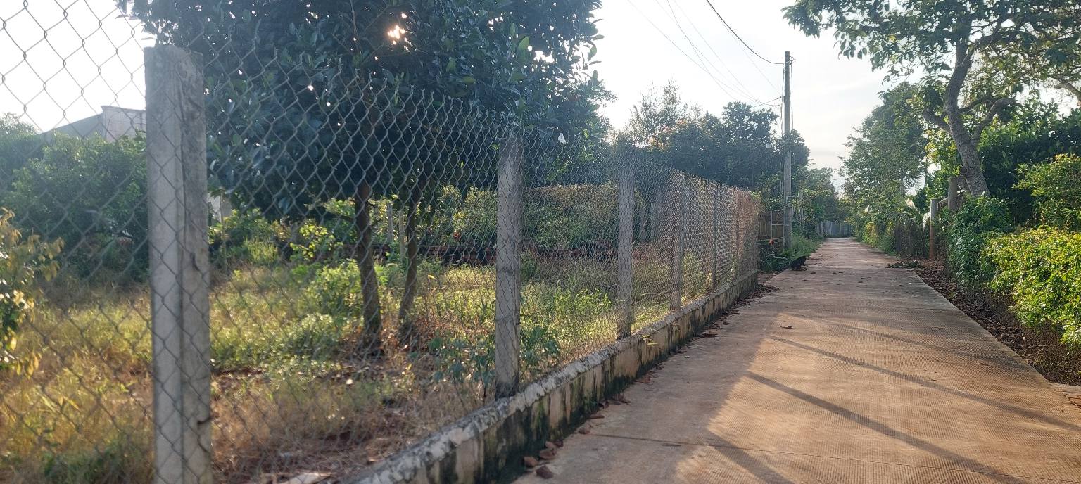 Đất thổ cư 100m² tại Suối Nghệ, Châu Đức - Giá chỉ 1.75 tỷ