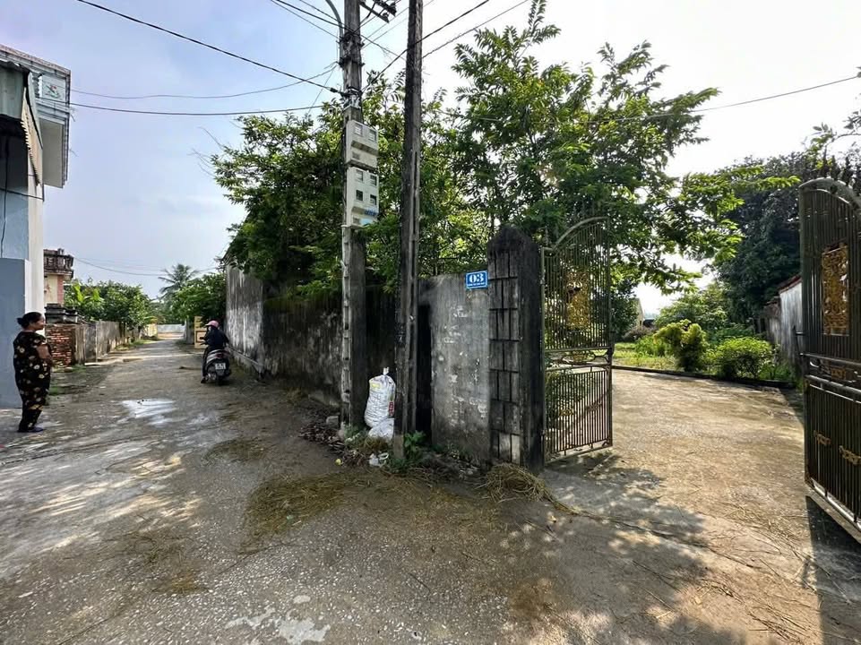 Đất trồng rau tại xã Hoằng Vinh, Thanh Hóa 214m² - Giá chỉ 700 triệu