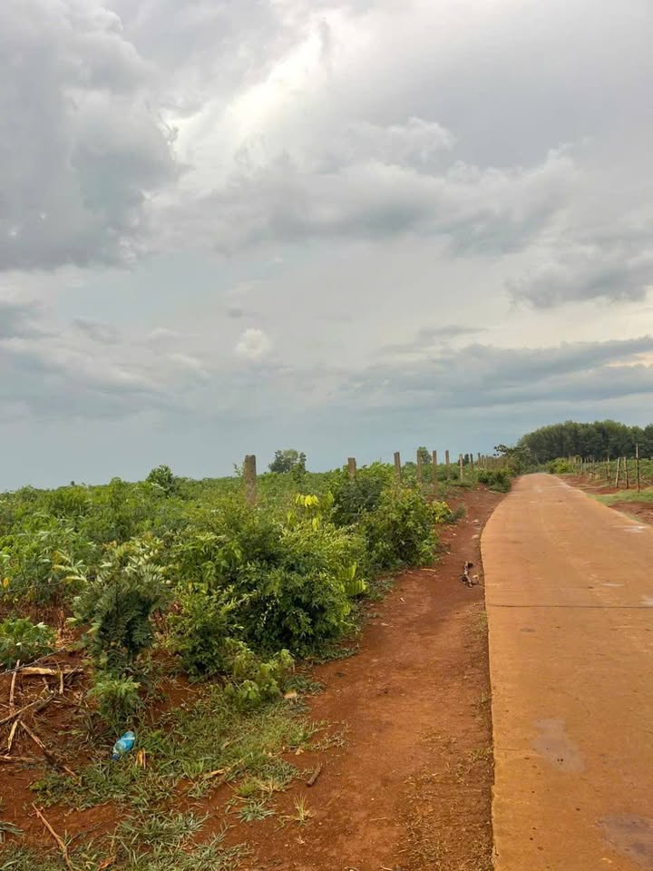 Đất nền Ea Bar Sông Hinh 2000m² giá 170 triệu - Cơ hội đầu tư tốt!