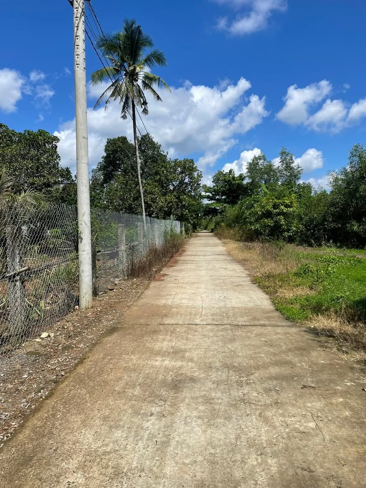 Đất thổ cư 3600m² xã Phú Hòa, Định Quán giá 900 triệu - Cơ hội đầu tư hấp dẫn!