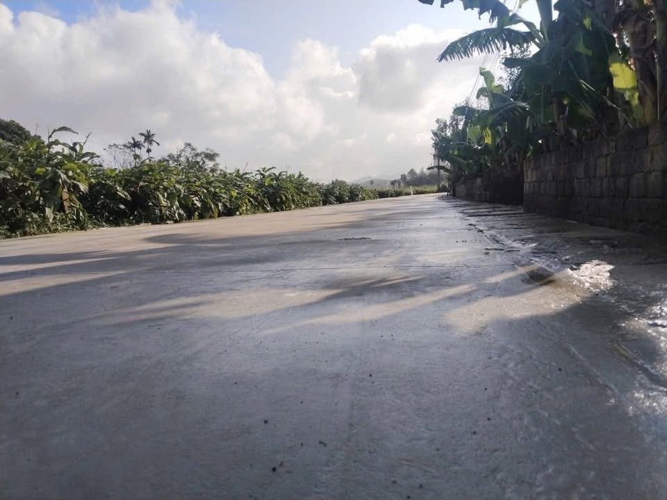 Đất thổ cư Thăng Bình, Nông Cống 126m² giá chỉ 200 triệu - Đầu tư sinh lời ngay!