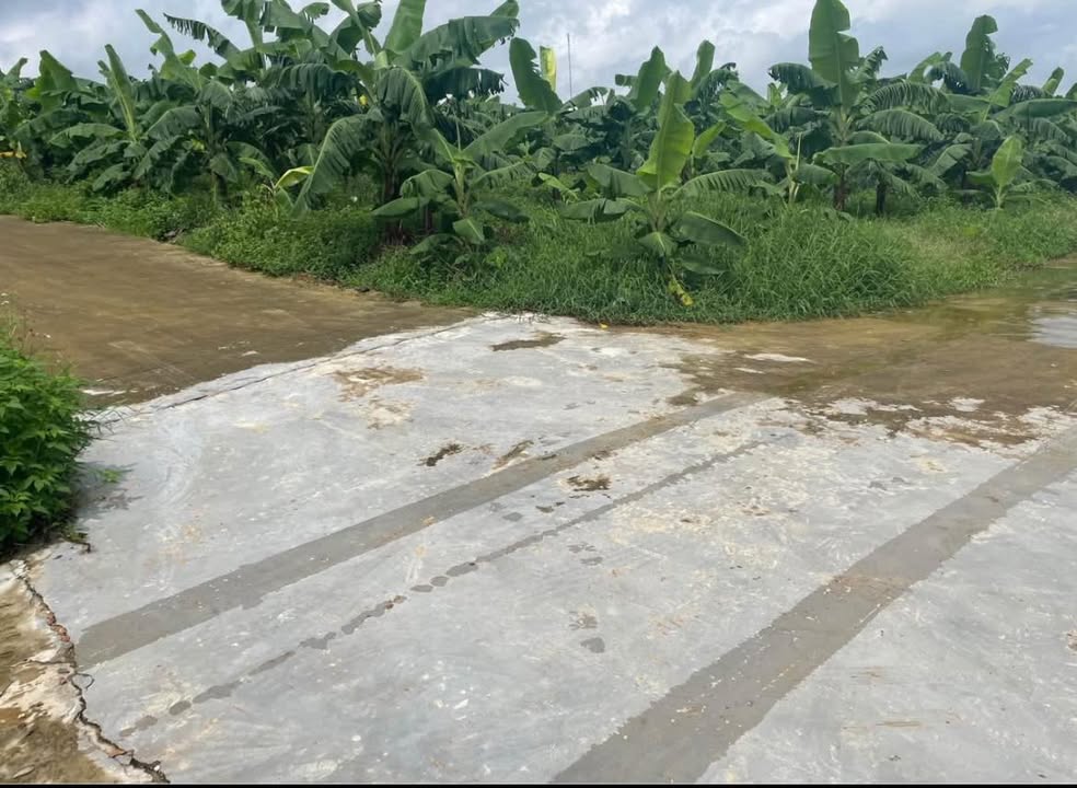 Đất nền Tân Ấp, Phổ Yên 931m² giá 2.1 tỷ - 3 mặt tiền cực hiếm!