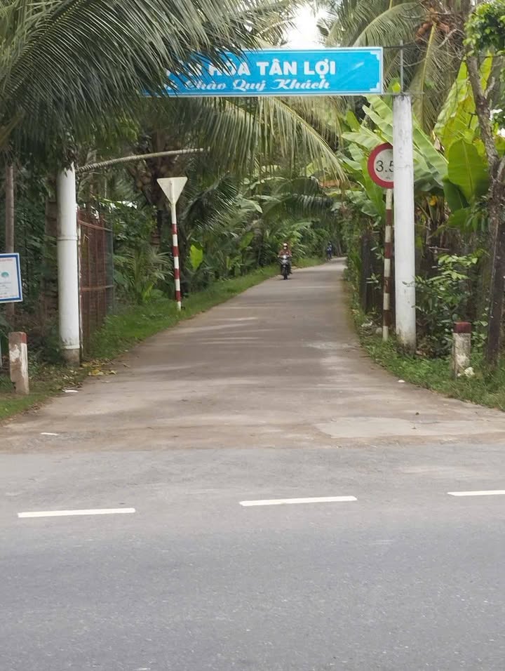 Đất nền Phước Mỹ Trung, Mỏ Cày Bắc 1800m² giá 2.85 tỷ - Đầu tư sinh lời hấp dẫn!