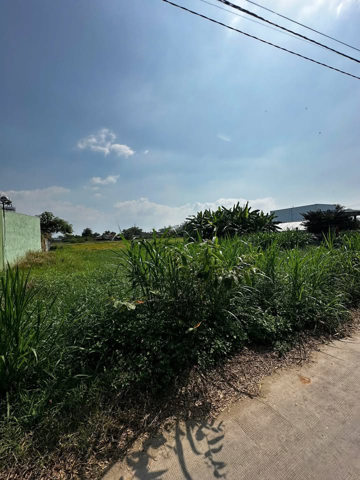 Đất nền Ấp Chánh, xã Đức Lập Hạ, 330m² giá 2.75 tỷ - Sổ hồng chính chủ!