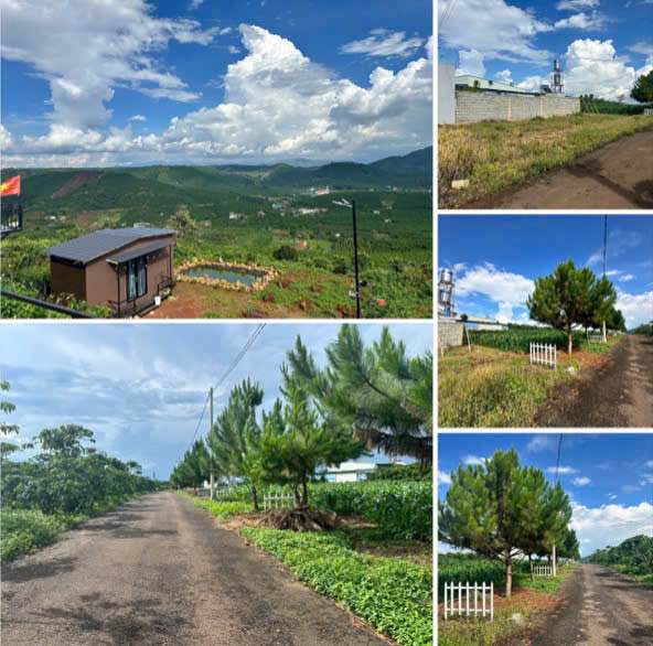 Đất nền Lộc Ngãi Bảo Lâm 320m² giá 680 triệu - Vị trí đắc địa, sẵn thổ cư!