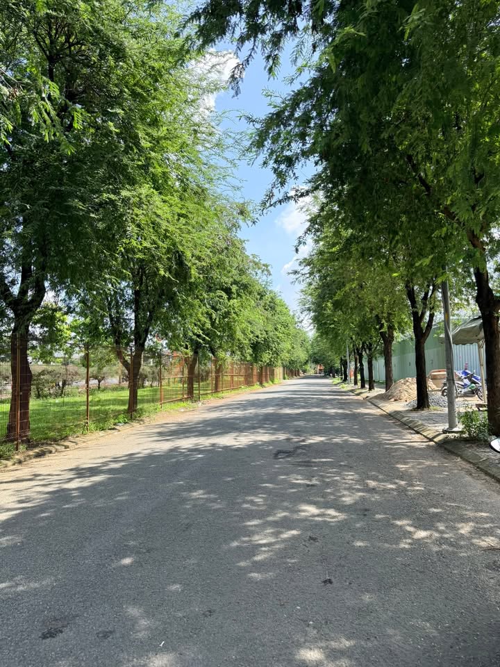 Đất biệt thự Sadeco Tân Hưng 126m² giá 6.48 tỷ - Mặt tiền Nguyễn Văn Linh, đối diện RMIT!