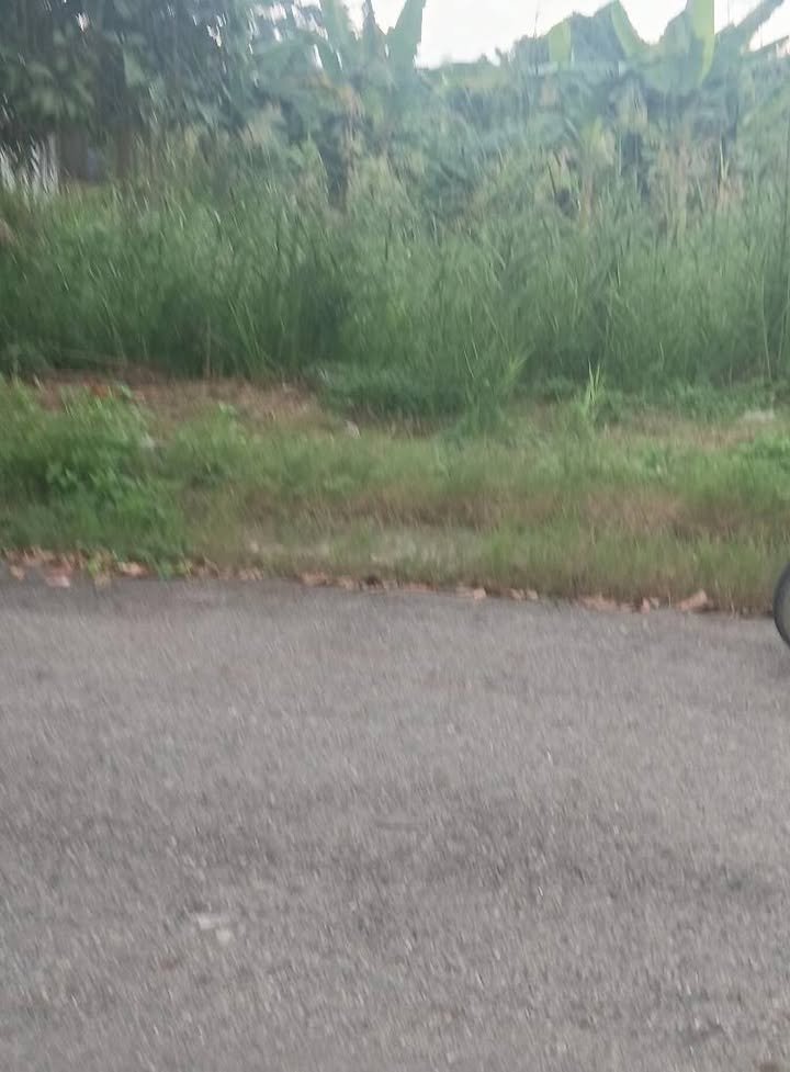 Đất nền Phạm Văn Hai, Bình Chánh 108m² giá chỉ 5.35 tỷ - Đầu tư sinh lời ngay!