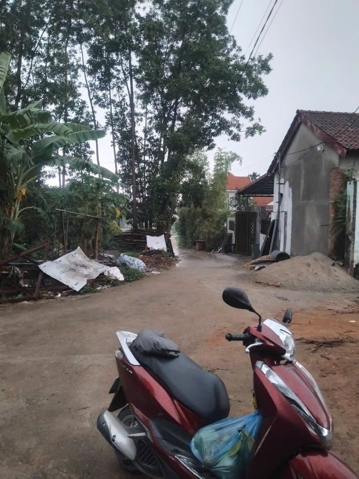 Đất nền Dữu Lâu, Việt Trì 102m² giá 1 tỷ - Cơ hội đầu tư lý tưởng!