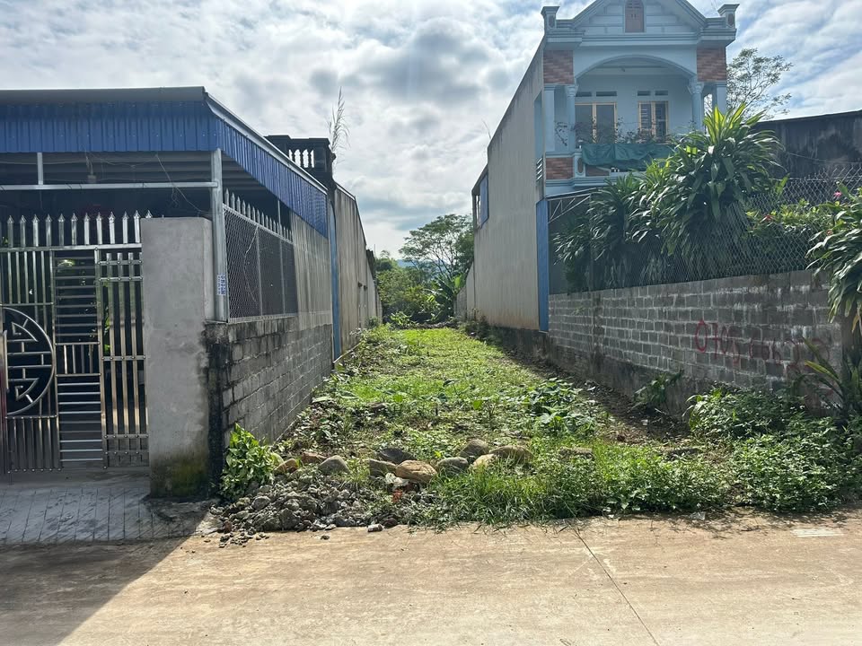 Đất thổ cư Tân Linh Đại Từ 200m² giá chỉ 500 triệu - Cơ hội đầu tư hấp dẫn!