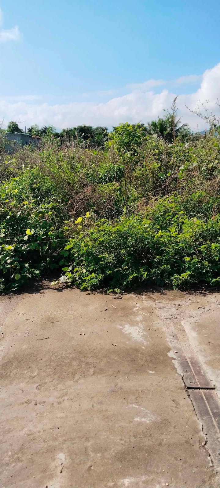 Đất thổ cư Diên Lâm 928.9m² giá chỉ 2.5 tỷ - Nhanh tay sở hữu!