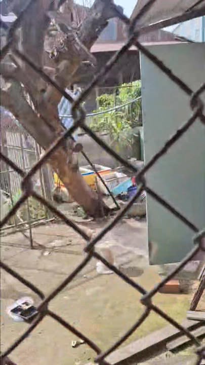 Nhà 1 Lầu Mặt Tiền Đường Tỉnh 57B, 152m² Giá 2.8 Tỷ - Gần Chợ, Trường Học