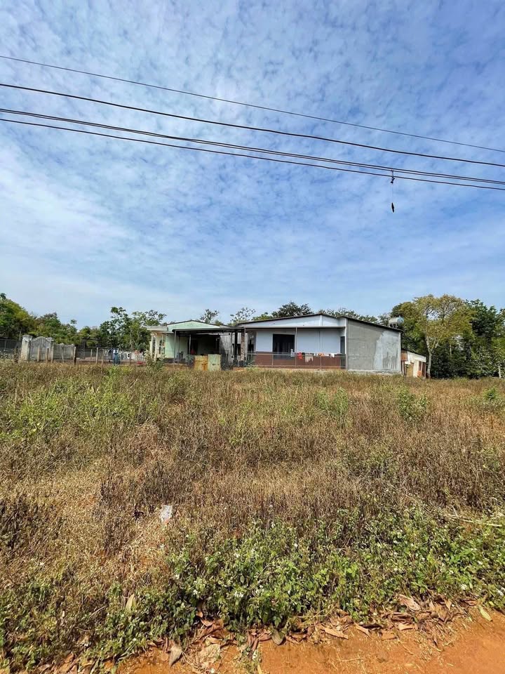 Đất nền Hòa Thuận Buôn Ma Thuột 220m² giá chỉ 700 triệu - Cơ hội đầu tư hiếm có!