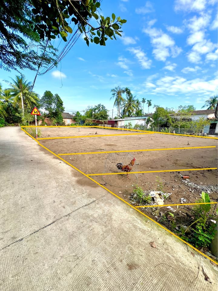 Đất nền Long Cang 90m² giá 850 triệu - Cơ hội đầu tư tốt!