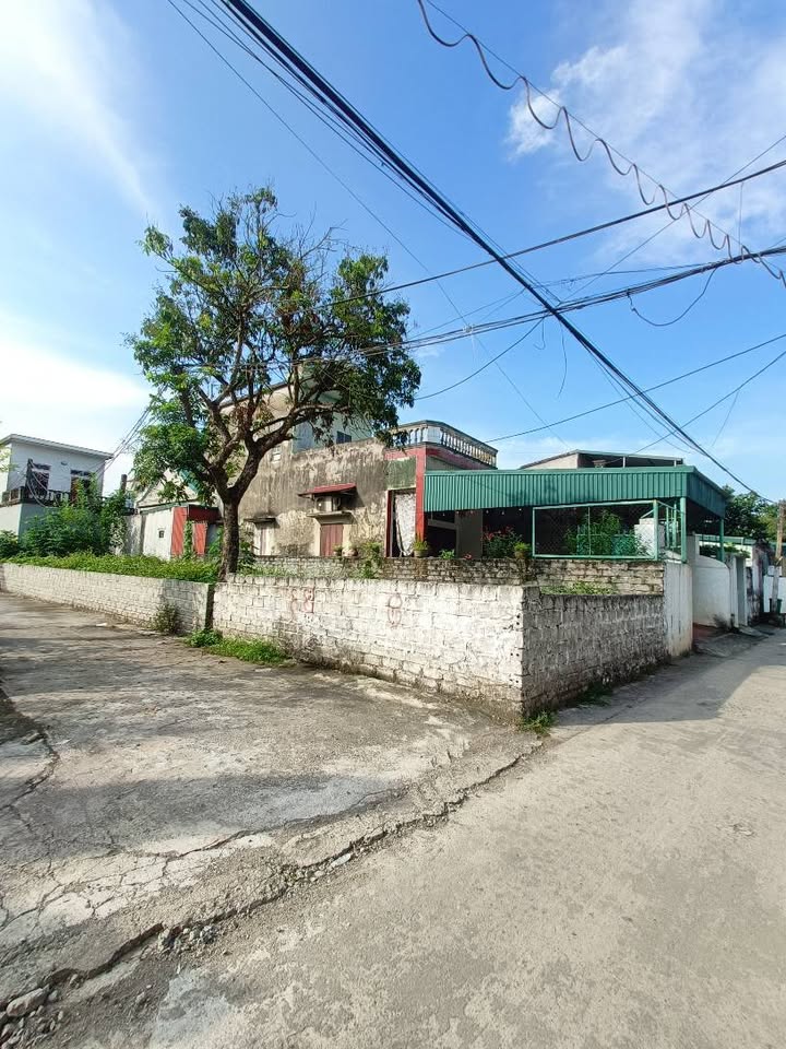 Đất nền Ninh Khang 127m² giá 5.9 tỷ - Tách được 2 lô, mặt tiền đẹp!