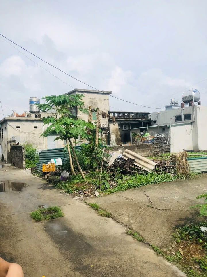 Đất Cẩm Sơn 59m² giá 800 triệu - Đầu tư sinh lời ngay lập tức!