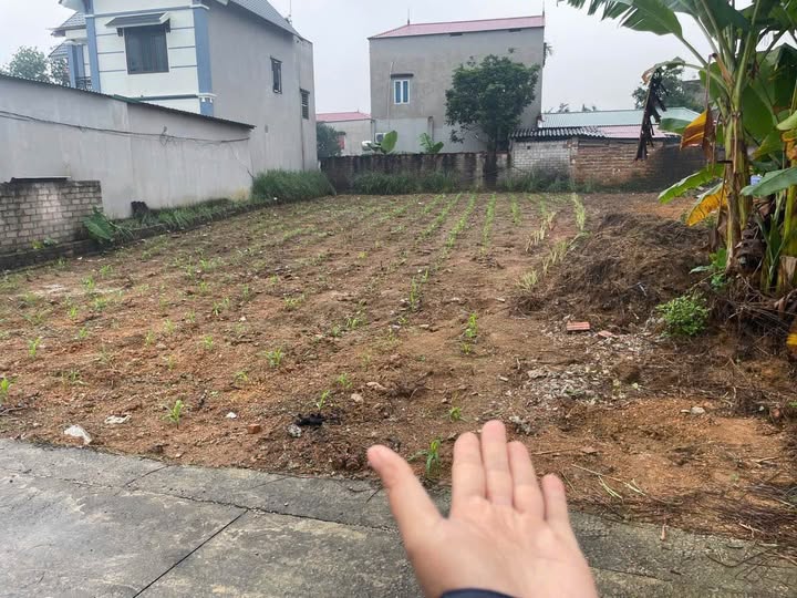 Đất nền Cánh Chủ, Hạ Bằng, Thạch Thất 721m² chỉ 7.21 tỷ - Đầu tư sinh lời bền vững!