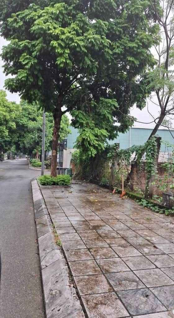 Đất dịch vụ Trạm Trôi, Hoài Đức 102m² giá đầu tư - Vị trí cực đẹp!