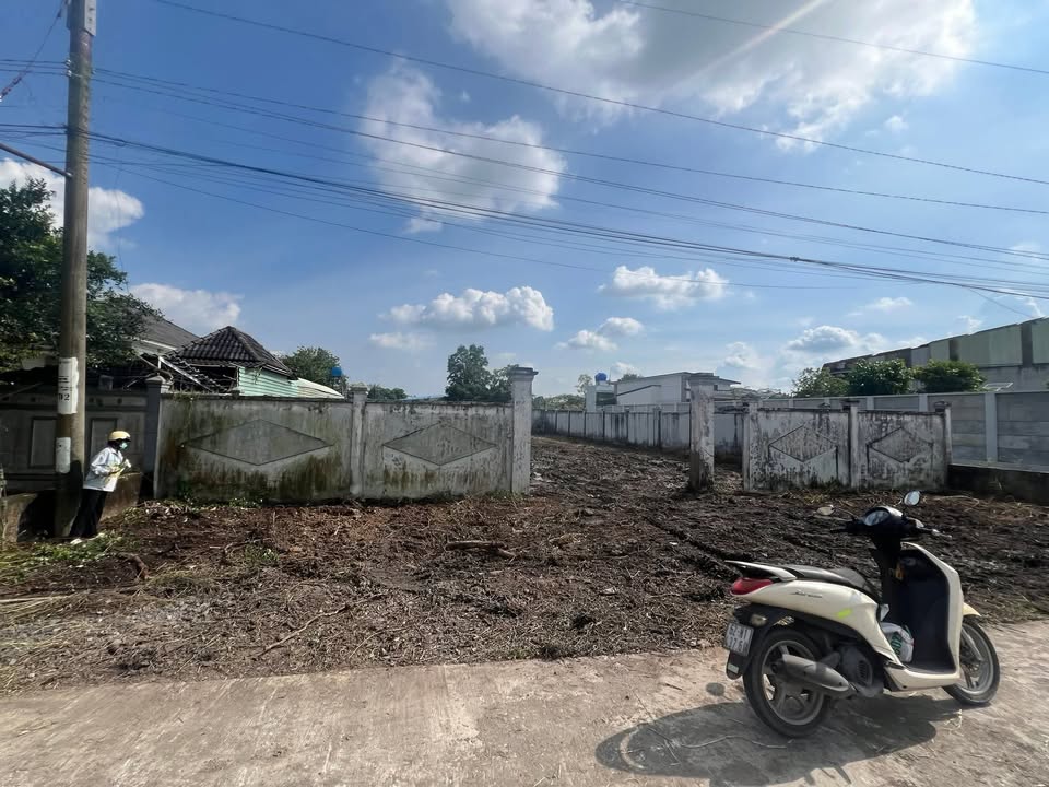 Đất nền 745m² đường Bờ Cua - Phước Lợi, Bến Lức giá 8 tỷ - Đầu tư sinh lời ngay!