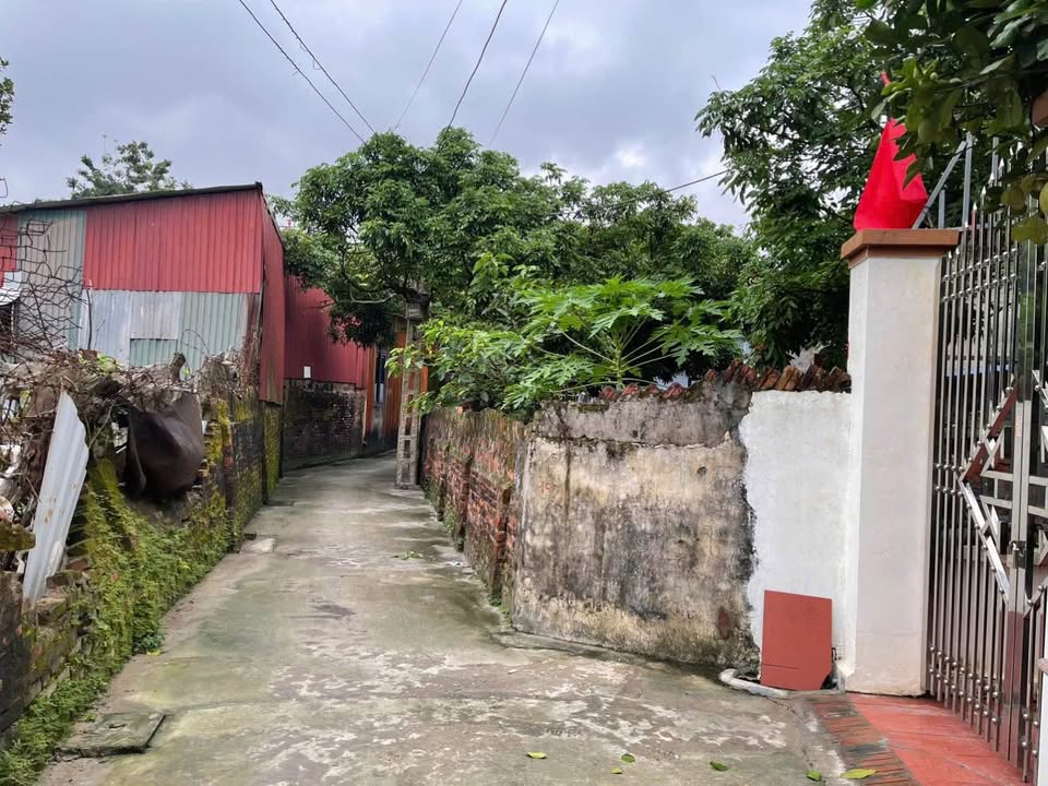 Đất nền Lý Thường Kiệt Yên Mỹ 118m² giá 1.534 tỷ - Cơ hội đầu tư tuyệt vời!