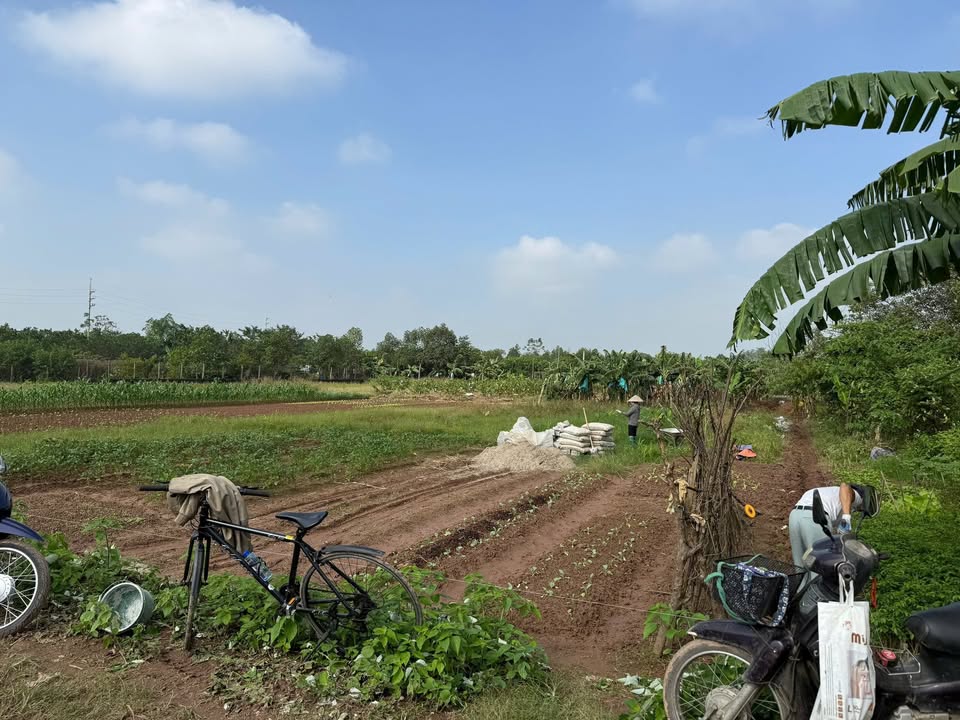 Đất nền 552m² mặt tiền 15m tại Đa Phúc, Quốc Oai - Giá chỉ 1.656 tỷ!