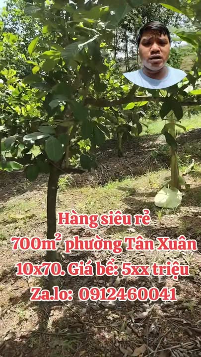 Đất Tân Xuân Đồng Xoài 700m² giá 500 triệu - Đầu tư sinh lời ngay!