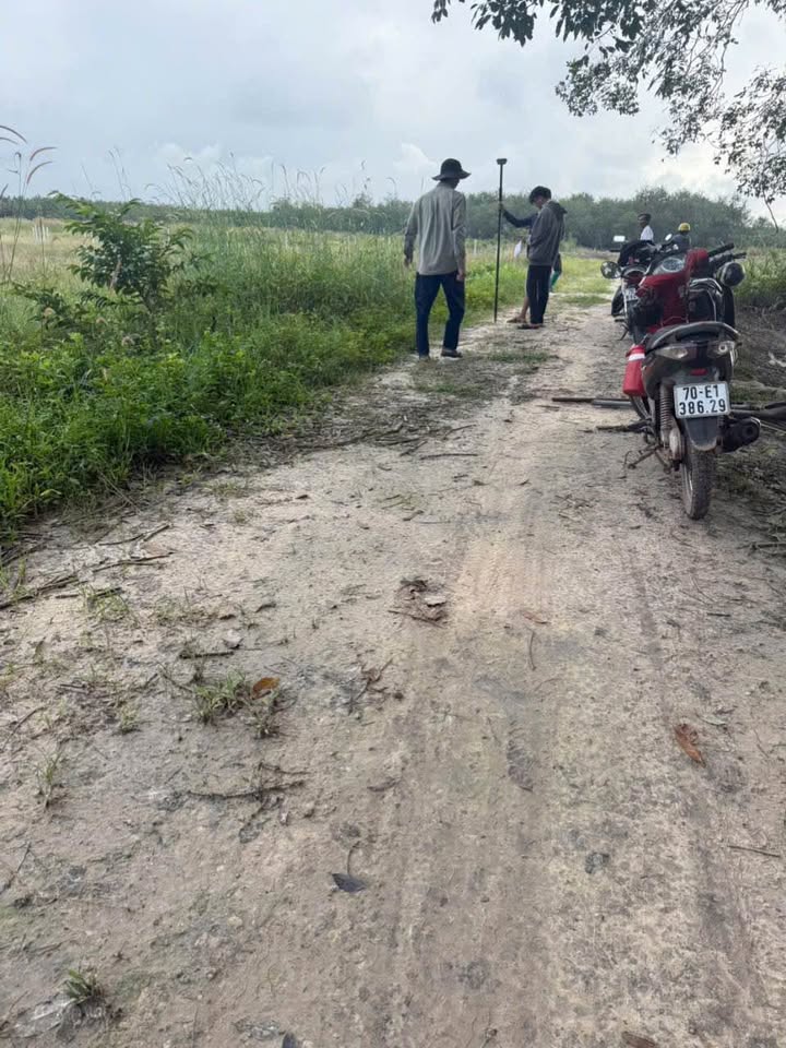 Đất nền Tân Phong Tân Biên 175m² giá chỉ 85 triệu - Sổ hồng chính chủ!