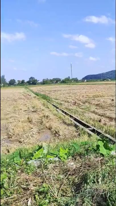 Đất nền Yên Bình 108m² giá chỉ 1 tỷ - Đầu tư sinh lời cao!