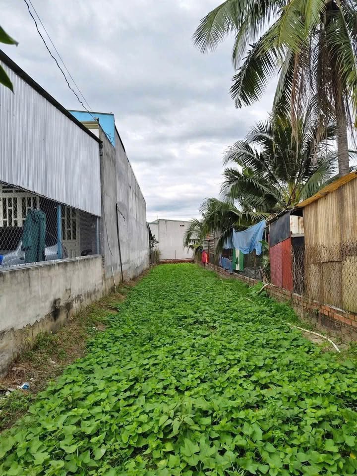 Đất nền xã Bình Minh 200m² giá 600 triệu - Đầu tư sinh lời ngay!