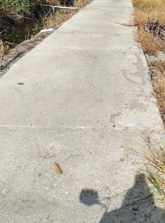 Đất nền 33,000m² tại Mỹ Tường, Cái Bè - Giá 1,5 tỷ, thương lượng ngay!