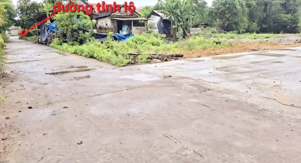 Đất nền Phong Chương 117m² giá rẻ - Cơ hội đầu tư hấp dẫn!