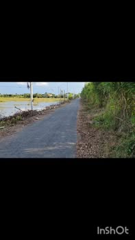 Đất nông nghiệp 13500m² tại Thủy Đông, Thạnh Hóa chỉ 1.958 tỷ - Cơ hội đầu tư hấp dẫn!