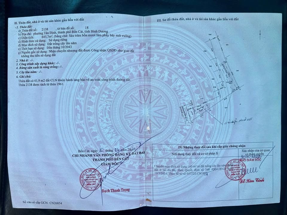 Đất nền Tân Định Bến Cát 650m² giá 2.6 tỷ - Đầu tư sinh lời ngay!