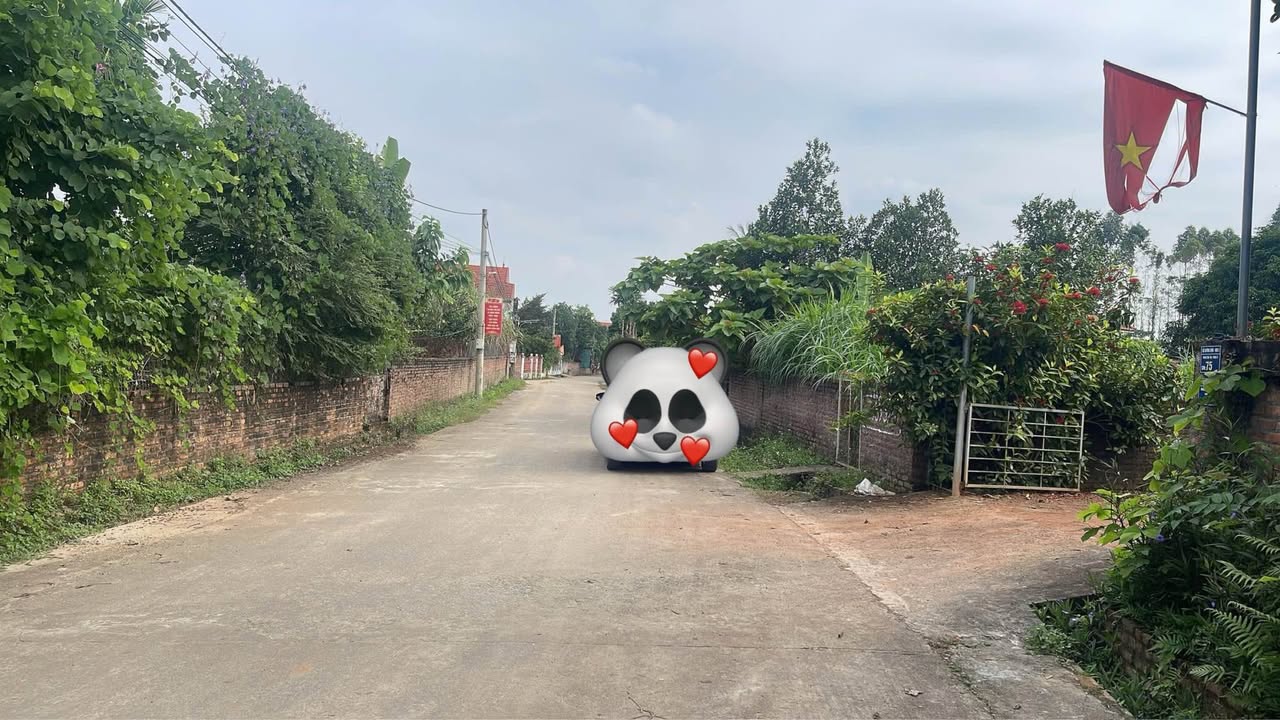 Đất nền Hương Nộn, Tam Nông 223m² giá thương lượng - Đầu tư sinh lời ngay!