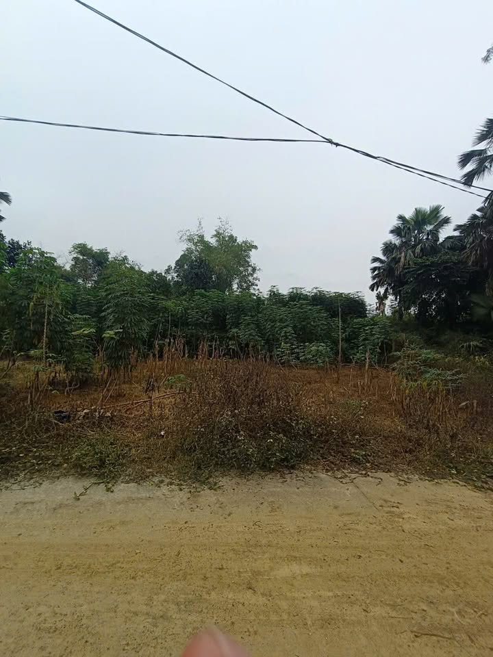 Đất nền Phú Hộ 130m² giá chỉ từ 6xx triệu - Đầu tư sinh lời ngay!