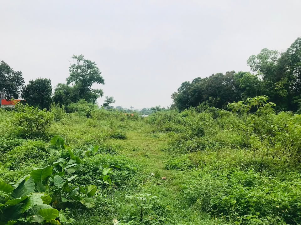 Đất nền Nhuận Trạch Lương Sơn 4400m² giá 17.6 tỷ - Tiềm năng đầu tư vượt trội!