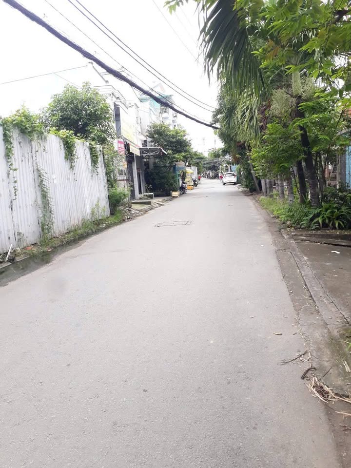 Đất nền Tân Tạo, Bình Tân 60m² giá 3 tỷ - Tiềm năng tăng giá cao!