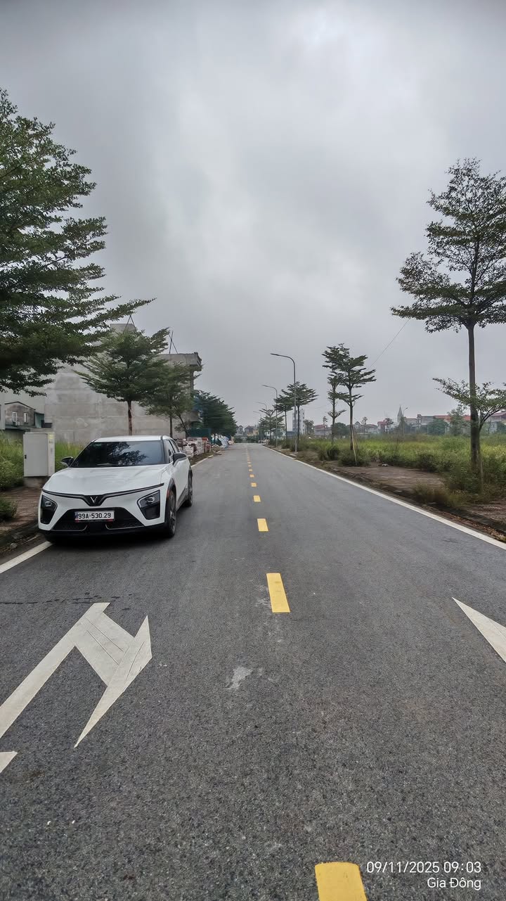 Đất nền Gia Đông 93.5m² mặt tiền 5.5m - Giá siêu tốt cho nhà đầu tư!