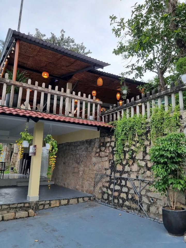 Đất đường VIBA, phường Thắng Nhì, Vũng Tàu 2078m² - Doanh thu ổn định từ nhà hàng và cafe