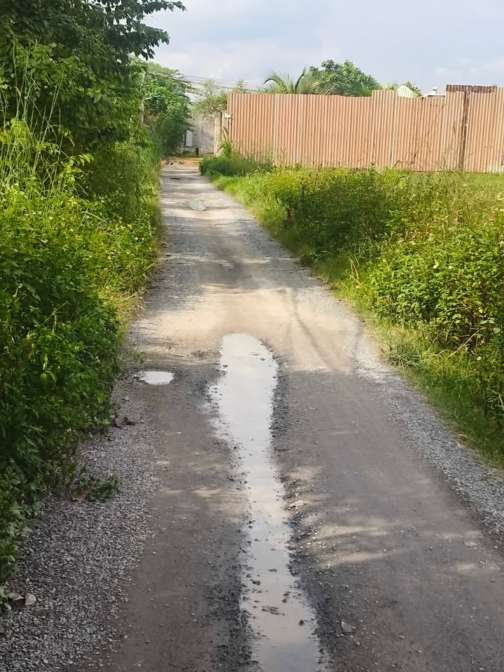 Đất nền Mỹ Hạnh Nam 130m² giá 1.35 tỷ - Sổ hồng riêng, đường thông xe hơi!