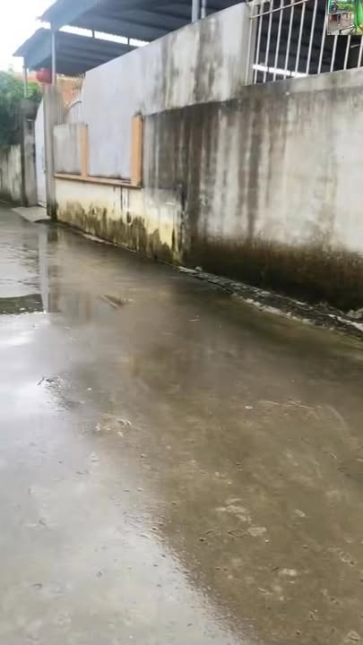 Đất thổ cư 393m² 2 mặt tiền tại Đông Sơn, giá 2 tỷ - Cơ hội đầu tư hấp dẫn!