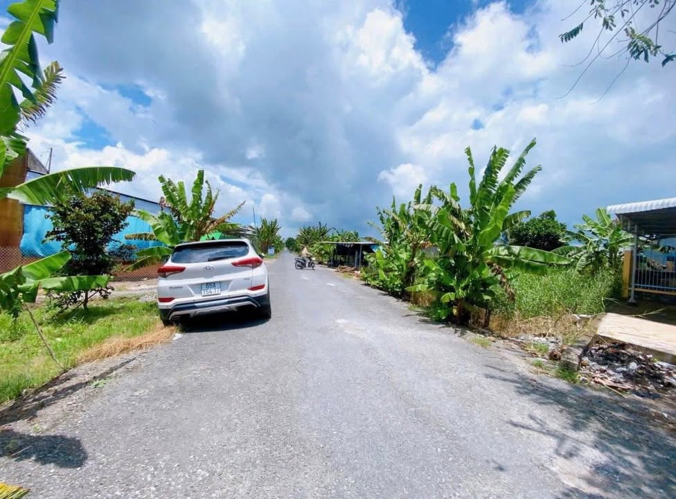 Đất nền Phong Điền Cần Thơ 3300m² - Mặt tiền nhựa 8m, giá đầu tư hấp dẫn!