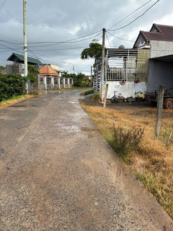 Đất nền Tân Hội 125m² giá 800 triệu - Đường bê tông gần hồ Suối Dứa!