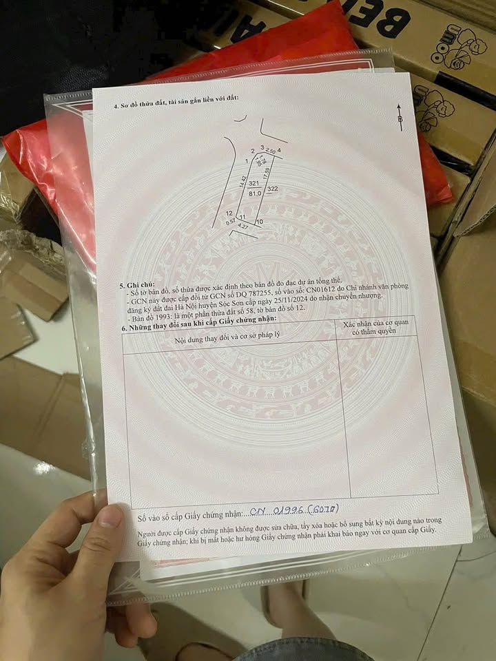 Đất nền góc 81m² tại Mai Đình, Sóc Sơn - Kinh doanh sầm uất, giá thỏa thuận!